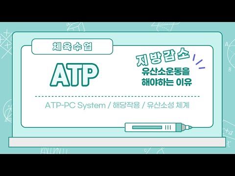 운동을 위한 에너지를 얻는 과정 / ATP 생산 / 운동대사 / 무산소, 유산소 운동의 이해