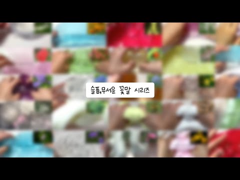 슬픔,무서운 꽃말 액괴 시리즈