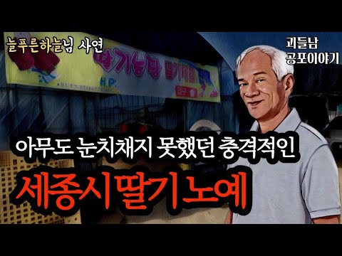 무서운이야기 실화ㅣ믿기 힘들정도로 충격적인 세종시 딸기 농장ㅣ공포라디오ㅣ괴들남 공포이야기ㅣ현실 공포