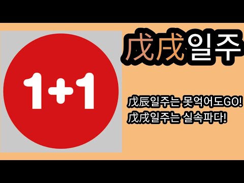 무술일주의 특징은?