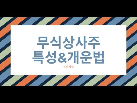 무식상사주-식신 상관이 없는 사주의 특성과 개운법