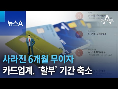 사라진 6개월 무이자…카드업계, ‘할부’ 기간 축소 | 뉴스A