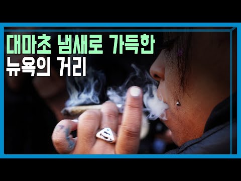 미국, 대마초 합법화의 그늘 (KBS_326회_2023.09.16.방송)