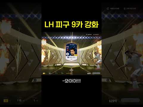 LH 피구 9카 강화