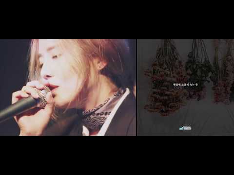 당신의 계절은 무엇입니까?